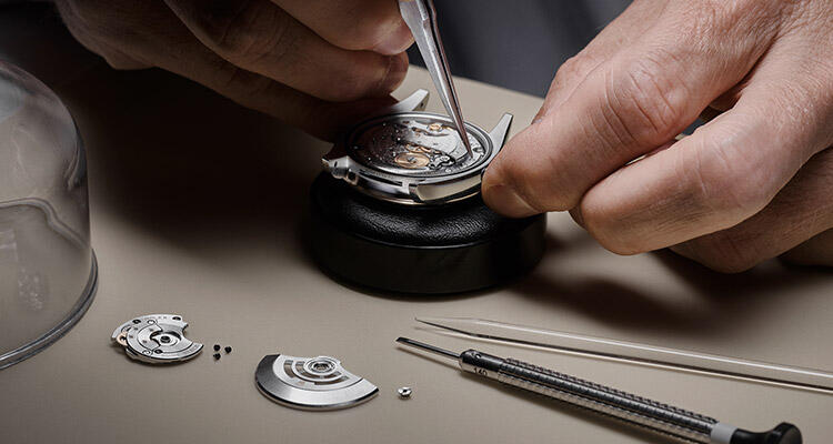 Servicing Your Rolex Banner - Palladio Jewellers - Portrait
