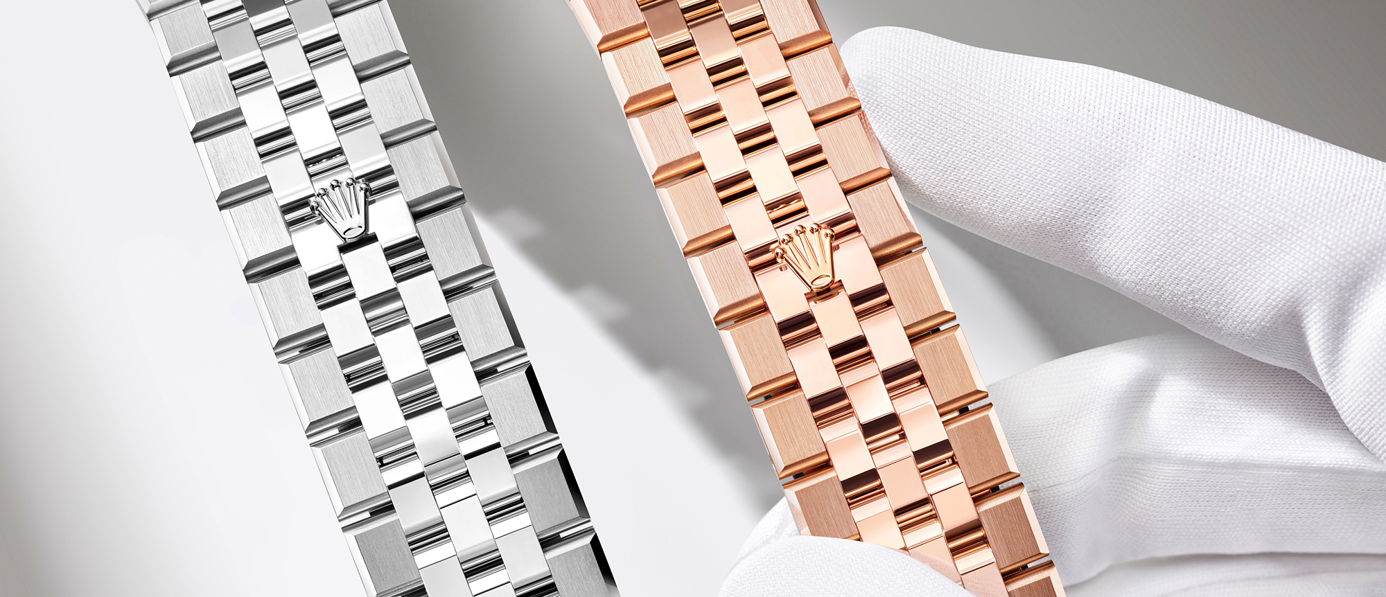 Rolex at Palladio Jewellers - Land-Dweller Blog - Dual Models Comparison Landscape